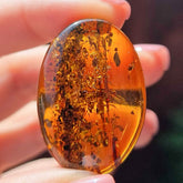 Cognac Amber Free Shape Cabochons